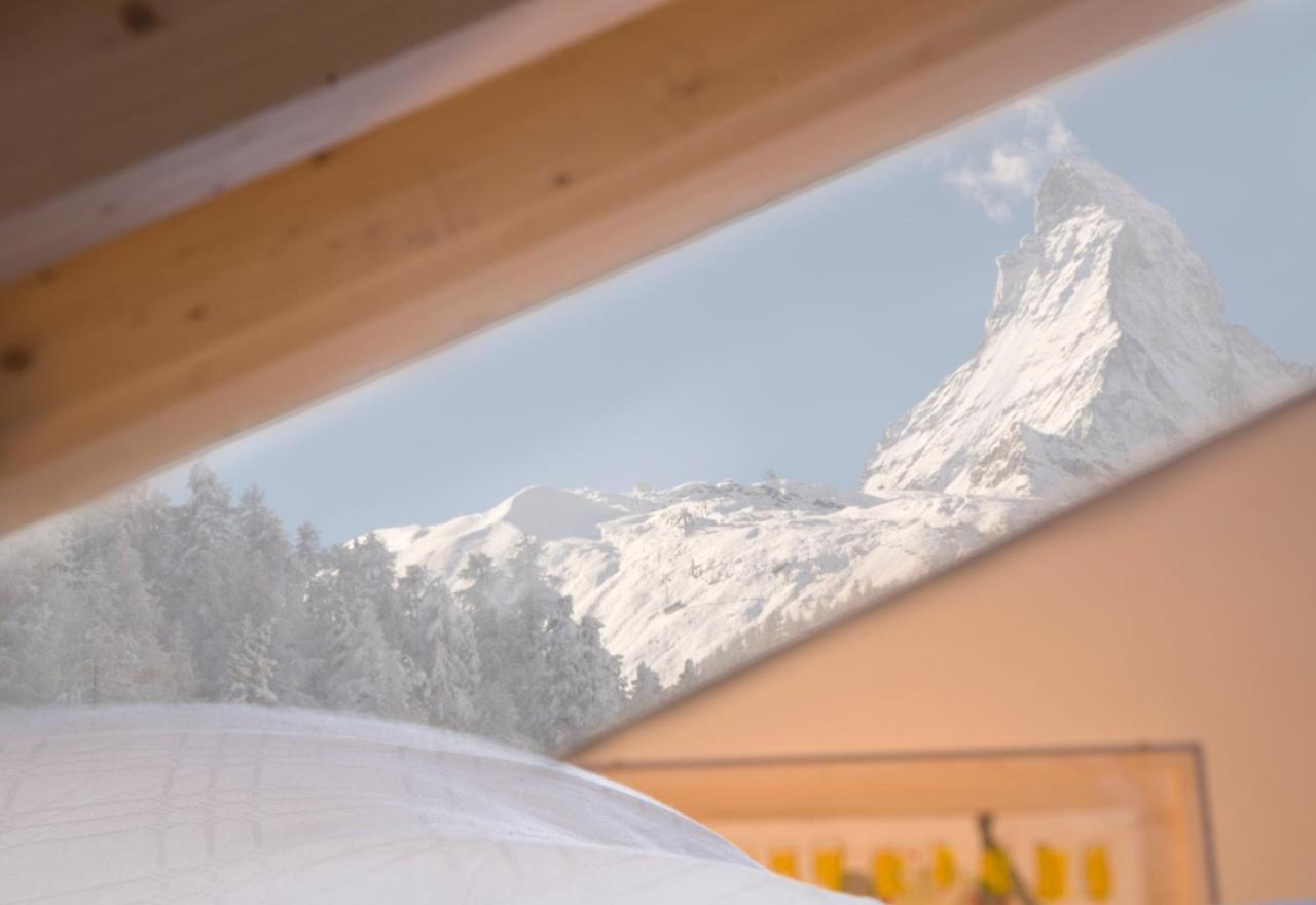 Chalet Altesse - Premium Apartments Zermatt Eksteriør billede
